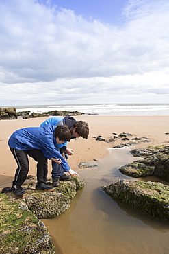 Children playing in a rock pool on the town beach, Ellon, Aberdeenshire, Scotland, United Kingdom, Europe