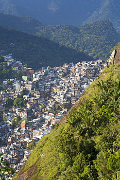 View of Rocinha favela and the forest of Tijuca National Park, Rio de Janeiro, Brazil, South America