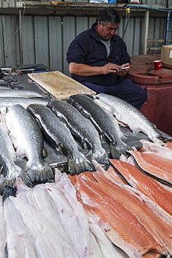 The fish market in Castro, Chiloe, Patagonia, Chile, South America