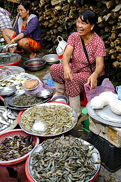 A Vietnamese woman laughing at a market near Hue, Vietnam, Indochina, Southeast Asia, Asia