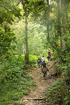 Campesinos riding horses along the Pueblito trail in the heart of Tayrona National Park, Colombia, South America