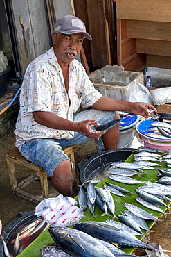 A man selling fish in the local city market, Masohi, Seram, Indonesia, Southeast Asia, Asia