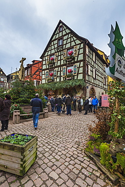 A typical house in the medieval old town decorated with Christmas ornaments, Kaysersberg, Haut-Rhin department, Alsace, France, Europe