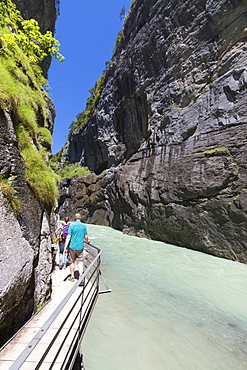 Hikers on walkways admire the creek through the limestone gorge, Aare Gorge, Bernese Oberland, Canton of Berne, Switzerland, Europe