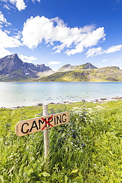 Green meadows and flowers frame the turquoise sea surrounded by peaks, Strandveien, Lofoten Islands, Norway, Scandinavia, Europe