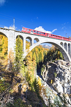 The red train on viaduct surrounded by colorful woods, Cinuos-Chel, Canton of Graubunden, Engadine, Switzerland, Europe