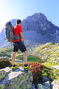 Hiker at Julier Pass with Piz Polatschin in the background, St. Moritz, Engadine, Canton of Graubunden, Switzerland, Europe