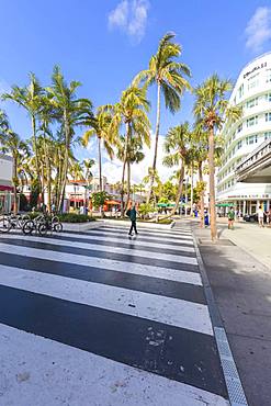 Lincoln Road Mall, Miami Beach, Florida, United States of America, North America