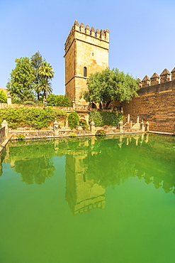 Torre de los Leones (Tower of the Lions) reflected in a pool, Alcazar de los Reyes Cristianos, Cordoba, UNESCO World Heritage Site, Andalusia, Spain, Europe