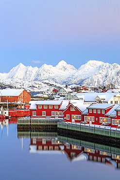 Pink sunset over the typical red houses reflected in the sea, Svolvaer, Lofoten Islands, Arctic, Norway, Scandinavia, Europe