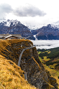 Elevated metal walkway on mountain ridge known as Cliff Walk by Tissot, First, Grindelwald, Bernese Alps, Canton of Bern, Switzerland, Europe