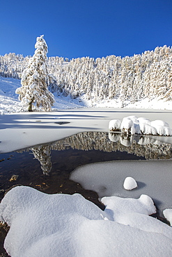 Snow covered trees reflected in the Casera Lake, Livrio Valley, Orobie Alps, Valtellina, Lombardy, Italy, Europe