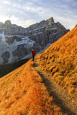 Hiker on a trail around the Forcella De Furcia at sunrise, Val di Funes, South Tyrol, Dolomites, Italy, Europe