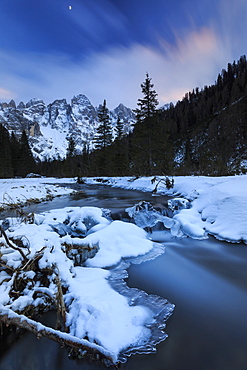 A frozen creek under a cold winter sky, Venagia Valley, Panaveggio Natural Park, Dolomites, Trentino-Alto Adige, Italy, Europe