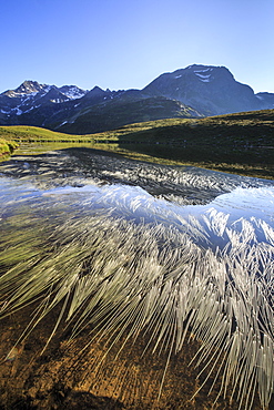 Peak Suretta is reflected in Lake Andossi at dawn, Chiavenna Valley, Spluga Valley, Valtellina, Lombardy, Italy, Europe