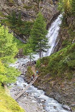 Hikers cross the wooden bridge on a creek in the woods, Minor Valley, High Valtellina, Livigno, Lombardy, Italy, Europe