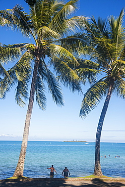 Palm trees, Anse Vata beach, Noumea, New Caledonia, Pacific