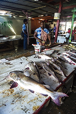 Fresh fish for sale in the Stabroek market, Georgetown, Guyana, South America