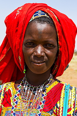 Colourfully dressed woman travels with a caravan of Peul nomads and their animals in the Sahel of Niger, West Africa, Africa