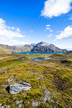 Overlook over the bay of Godthul, South Georgia, Antarctica, Polar Regions