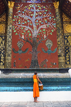 Monk making a blessing after morning alms, at Xieng Thong Monastery, UNESCO World Heritage Site, Luang Prabang, Laos, Indochina, Southeast Asia, Asia