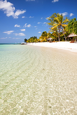 Turquoise sea and white palm fringed beach, Le Morne, Black River, Mauritius, Indian Ocean, Africa