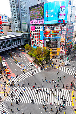 Shinjuku crossing, Tokyo, Japan, Asia