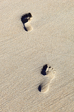 foot print on sandy beach, Sutherland, Scotland