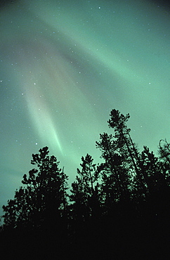 Aurora borealis, canada. Alberta, jasper np. The northern lights