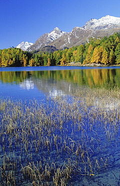 Swiss, switzerland, graubuenden, engadin