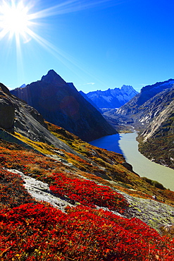 Swiss alps, Bernese Oberland, Switzerland