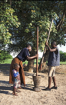 Zambia woman and boy pounding corn, shangombo