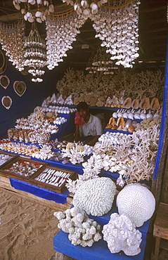 India - environment: selling coral and shells at a souvenir stall in cape cormorin, tamil nadu