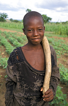 Ghana boy of bongo, bolgatanga cultivating beans