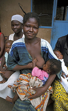 Ghana woman feeding bongo, bolgatanga