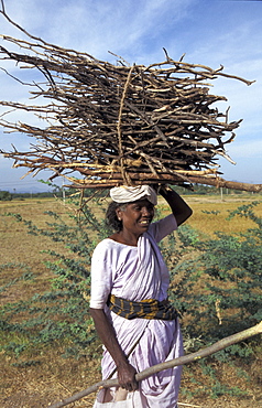 India woman carrying firewood