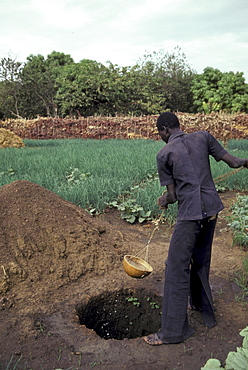 Man watering vegetable garden a small, segou.