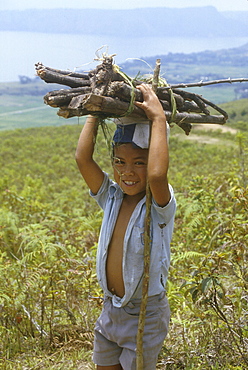 Indonesia boy carrying firewood, n. Sumatera