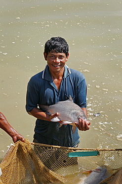 Bangladesh fish caught at a fish hatchery employing scientific methods at haluaghat, mymensingh region