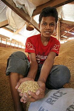 Cambodia a rice bank in daung village, kampot province.