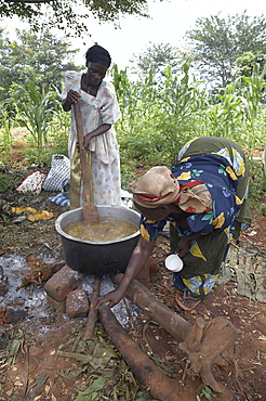 Uganda cooking matoke, steamed bananas, the staple diet, on a large open fire for a feast day. kangulumira, kayunga district