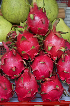 Vietnam saigon fruit market. dragon fruit other names: strawberry pear, pitaya botanical name: hylocereus undatus