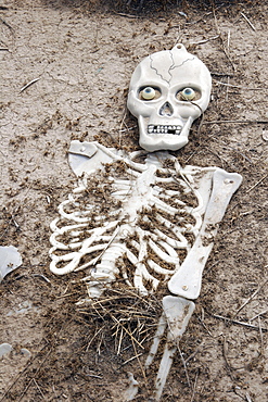 Mexico memorial for women murdered in juarez during the last several years. There have been 350+, unexplained murders of innocent women whose bodies were dumped on wasteland, such as where these crosses are located. This strange assemblage of stuffed clothes and a plastic skeleton are part of the memorial. Juarez, chihuahua