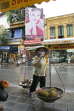 Vietnam woman carrying durian, hanoi