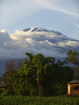 Tanzanian mount kilimanjaro in the clouds, viewed from arusha