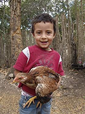 Honduras boy holding a chicken, marcala