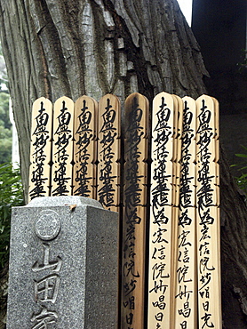 Japan - detail of graveyard at a buddhist temple, tokyo