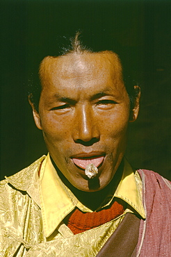 11th generation practicing amchi tsampha ngawang shows dragon bone used treating broken bones sticks to tongue. He treats patients throughout kali gandaki region is very active with training other amchis from over tibet, nepal mongolia