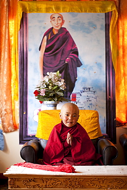 A painting of Bakula Rinpoche hangs behind his reincarnation, a six year old boy from Nurla, at Samkar Tashi Gatsal House. Ladakh, India