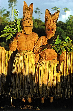 Wearing tree bark cloth masks and skirts, dancers representing fish spirits are invited during the season of the peach palm harvest to drink the juice. it is a feast and ritual exchange: the host group offers the spirits large quantities of peach palm juice, smoked meat and fish, and shaman-blessed coca and snuff. the visitors are the costumed dancers impersonating animal spirits. people eat the meat and fish, animal spirits receive the fruits of peach palm, which are cultivated, harvested, and processed by humans. this exchange expresses the idea that people and animals depend on each other for survival and reproduction. vaupes basin, eastern colombia amazon, population: 600